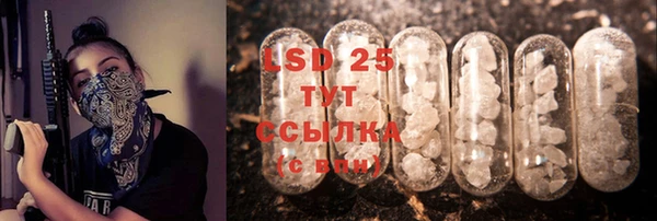 ешки Новозыбков