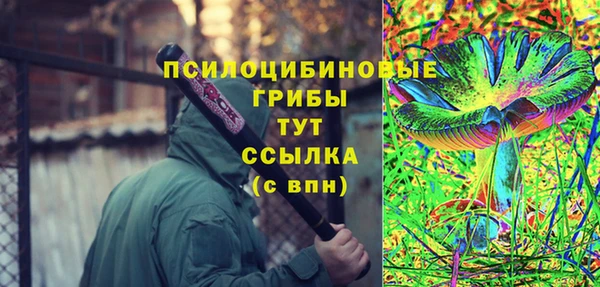 ешки Новозыбков