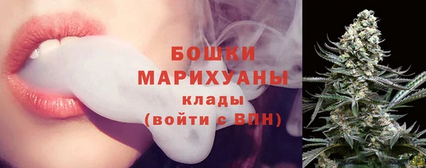 молекула духа Новокубанск