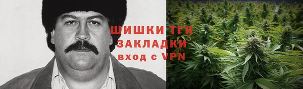 молекула духа Новокубанск