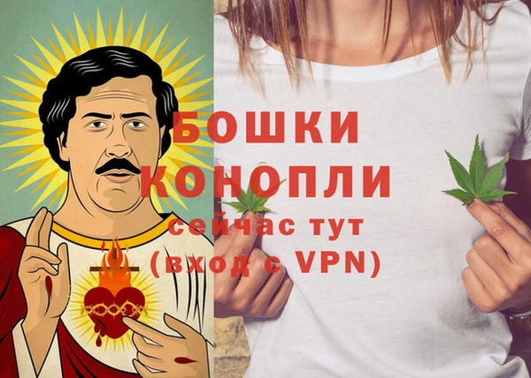 молекула духа Новокубанск