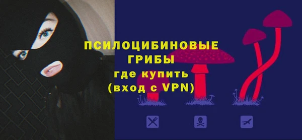 молекула духа Новокубанск