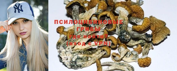 молекула духа Новокубанск